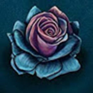 Meet your Posher, Priscila